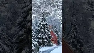 Yosemite during Winter ❄️🌨️⛄️