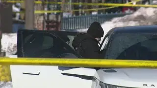 Male in custody after 37-year-old woman slain in Schaumburg