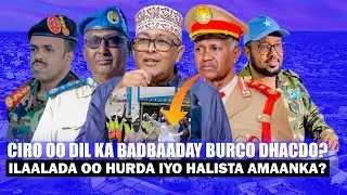 Xog Cirro oo Halis ku Galay Burco iyo Ilaalada oo Hurda Halista Amaanka? Arimo ku Qarsoon Safarka..?