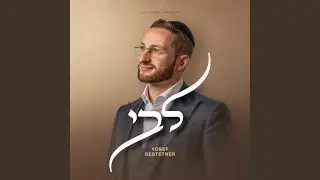 Hodu