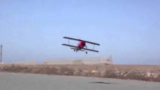VUELO DE LA BESTIA