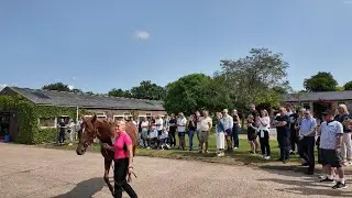 Spend an owners morning with the Basher Watts Racing Syndicate in Newmarket