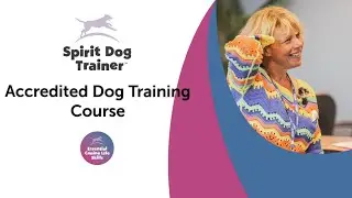 Spirit Dog Trainer, Specialist in Holistic Dog Training Accredited Programme