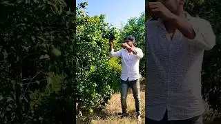 मौसमी का बाग #tarnding #popular #viral #shortvideo