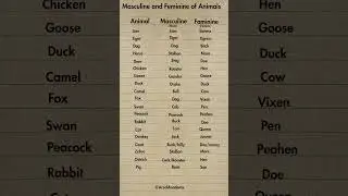 Masculine and Feminine of Animals english #englishgrammar #shorts #shortvideo