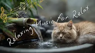 Relaxing Music for Relax, Stress, Anxiety & Depression Relief | Bamboo Fountain Water Deep Sleep