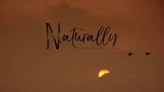 Trailer - The Trans - Himalayan Airline - Naturally by Evolve Back Resorts