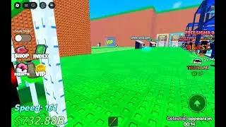Me and brother race