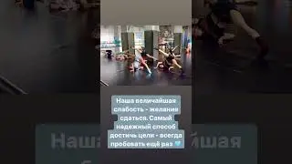 video 1 e9b1cd5f1ba44348998b6c3c16b6b64c