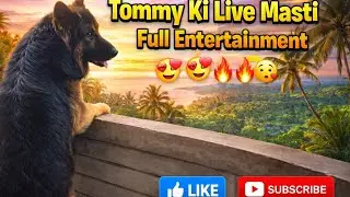 Tommy LIVE 🔴 Full Entertainment Guaranteed 😍