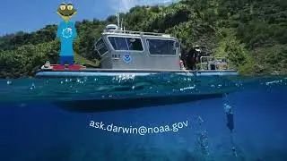 Tell Darwin What You Want to Learn About at AOML: ask.darwin@noaa.gov
