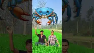 Tu Radha Meri Main Shyam Tera#vfx #viral #funny #vfxprathmesh #mobileringtone #trending #comedy #rin