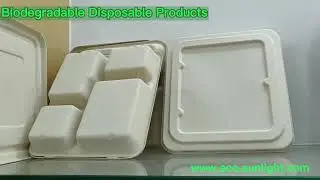Biodegradable dinner plates