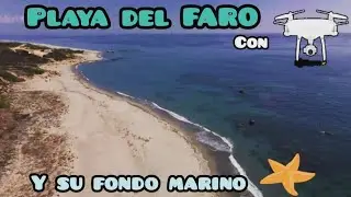 playa del FARO/a vista de DRON y sus fondos MARINOS#sanroque