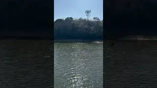 Thekkady, Periyar Tiger Reserve