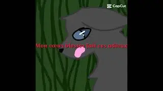 Crowfeater ♡ Leafpool |image nn libres de droit | @Nuage_deLumi&egrave;re 😉