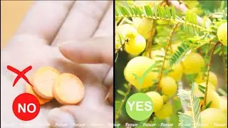 Natural Vitamin C Supplement | Tasty Immunity Boosting Drink | Fast&Up