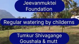 @Tumkur Shivagange Goushala &mutt Регулярный полив саженцев, подаренных нами, детьми.