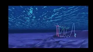 Blue whale dive behavior recorded by Advanced Dive Behavior tags