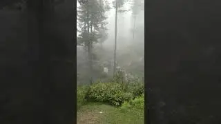 pyara mosam