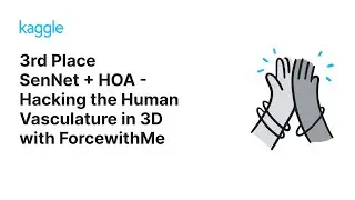 Kaggle Solution Walkthroughs: SenNet + HOA - Hacking the Human Vasculature in 3D with ForcewithMe