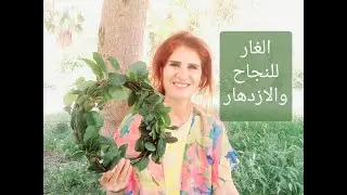 الغار للنجاح والازدهار