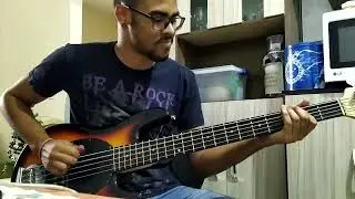 Paramore - Let The Flames Begin | Bass Cover