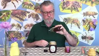 Honey 29 - Three Wildflower Honeys