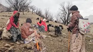 Nomadic Survival 🐐 Herding Our Goats Through the Mountain Rain and Mist 🏔️🌧️