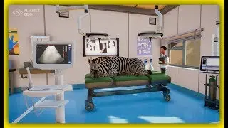 Planet Zoo Vets! | Dev Journal 8
