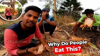 Why Indians Love Eating This Tree 😍🇮🇳 | Real Village Food Story