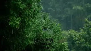 One hour of continuous rain for sleeping, relaxing, studying, and concentrating