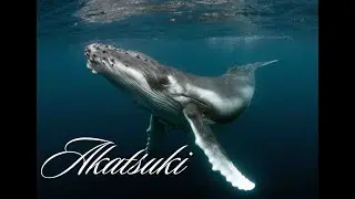 Akatsuki - Music Video