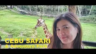 Birds attack.Man vs Bird.Cebu Safari 2.The Gang goes to Cebu Safari.Bird Show.#cebu #cebusafari
