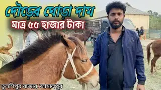 দৌড়ের ঘোড়া দাম নাকি এখন কমতাছে || মাত্র ৫৫ হাজার টাকায় বিক্রি হচ্ছে দৌড়ের ঘোড়া || তুলশিপুর বাজার 