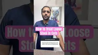 How to Treat Loose Stool in Cats | Home Remedies & Vet Tips