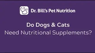 Do Dogs and Cats Need Nutritional Supplements? | Dr. Bill's Pet Nutrition