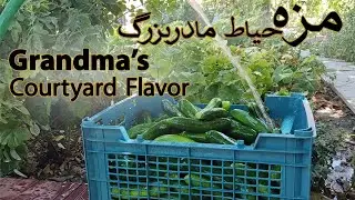 Village Life ASMR | Grandma Making Traditional Pickles in Her Yard 🥒🌿