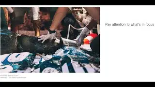 Visual Communication in Science and Reporting