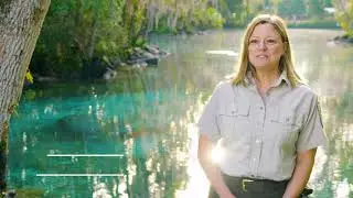 Caring for Manatees