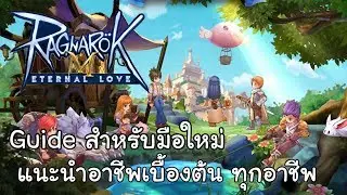Ragnarok M Eternal love - Guide แนะนำอาชีพเบื้องต้น(ทุกอาชีพ) #2