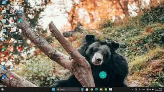 Windows 11 Home: How to Show or Hide file name extensions in File Explorer
