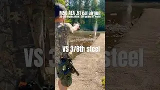 .50 cal airgun VS 3/8th steel