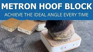 Using the Metron Hoof Block for Equine Radiographic Imaging