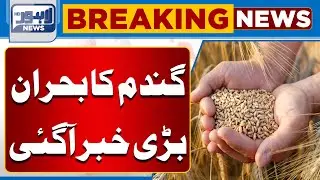 Wheat Crisis in Pakistan | Major Update | Flour Prices Soar? | Breaking News  | Lahore News HD