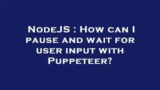 NodeJS : How can I pause and wait for user input with Puppeteer?