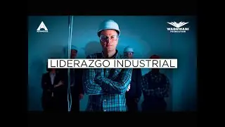 Liderazgo industrial