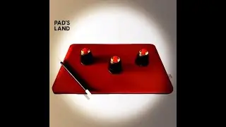 CLOSE-UP PAD BY PAD&acute;S LAND