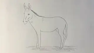 How to draw a donkey || donkey drawing