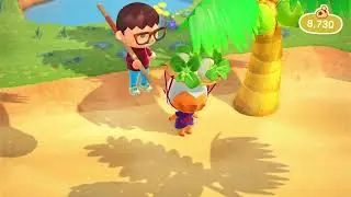 Animal Crossing New Horizons - Buying turnips from Daisy Mae #acnh